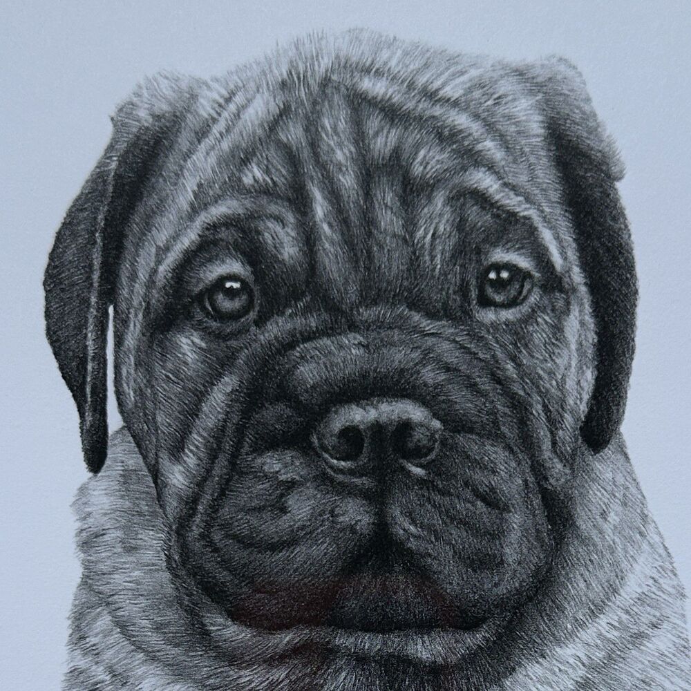 Vintage Bullmastiff Puppy Hand Signed Print Framed Roger Pidney Davidson Art - Picture 7 of 10